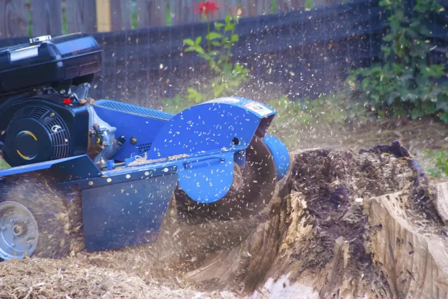 Expert Stump Grinding Durham, NC Expert Stump Grinding Durham, NC