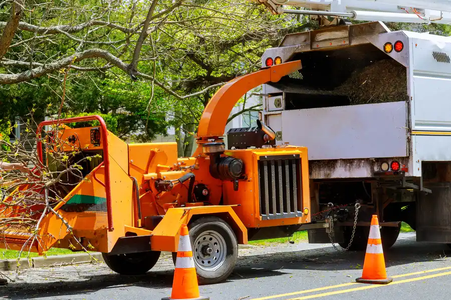 How Tree Removal Helps Prevent Structural Damage Durham, NC How Tree Removal Helps Prevent Structural Damage Durham, NC
