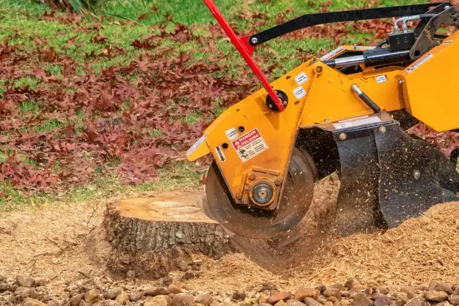 Professional Stump Grinding Durham, NC Professional Stump Grinding Durham, NC