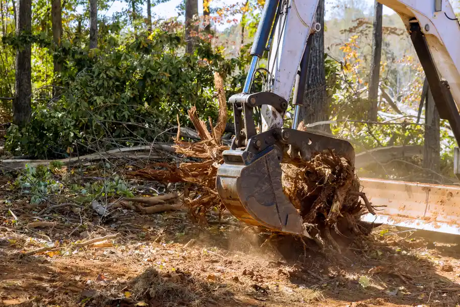 Top-rated Stump Removal Durham, NC Top-rated Stump Removal Durham, NC